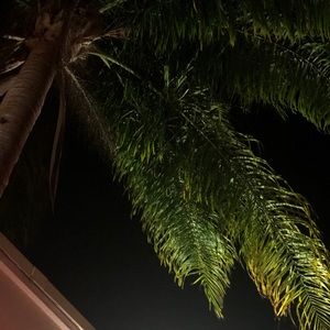 Meet your Posher, Cedeno